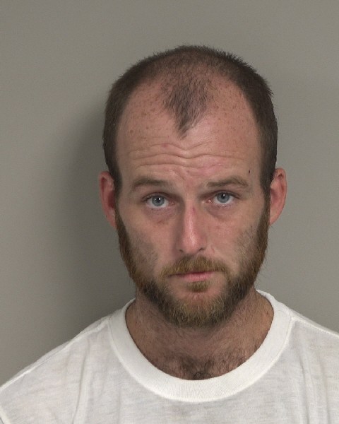 Booking photo of Dallas Mcsheehan