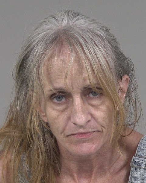 Booking photo of Tammy Bare