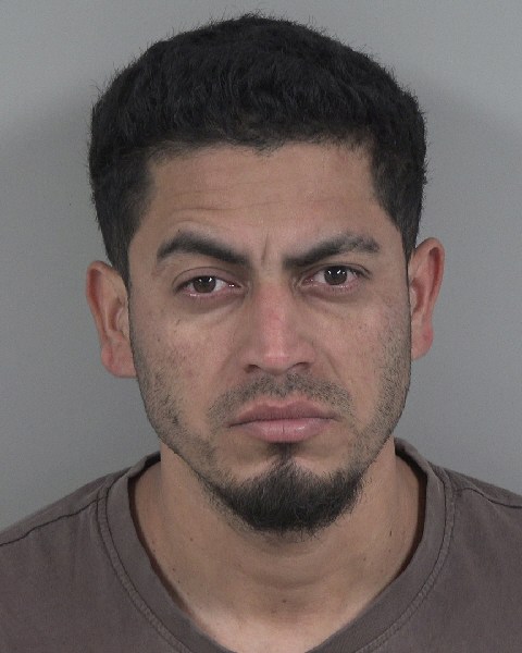 Booking photo of Arial Arita