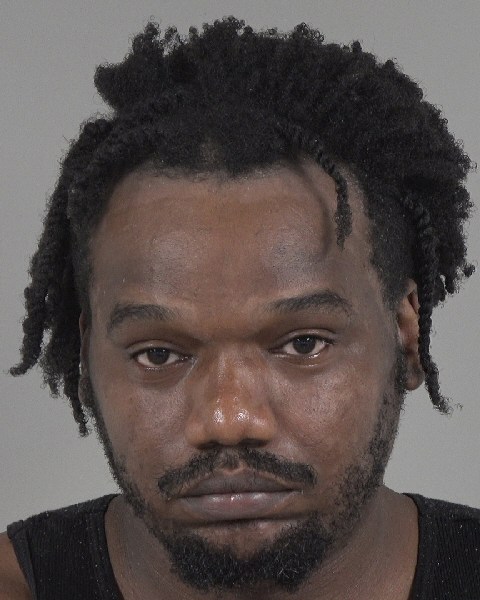 Booking photo of Rayshawn Michel