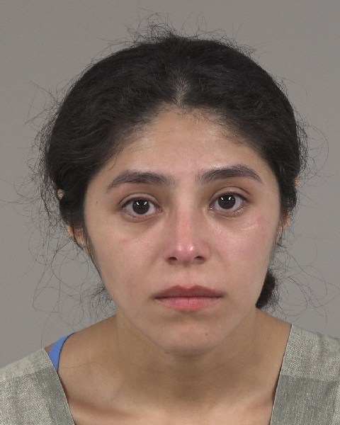 Booking photo of Janisha Banos