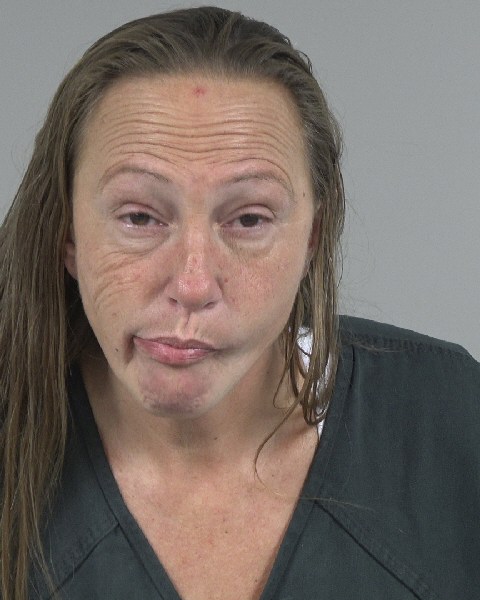 Booking photo of Christina Comfort