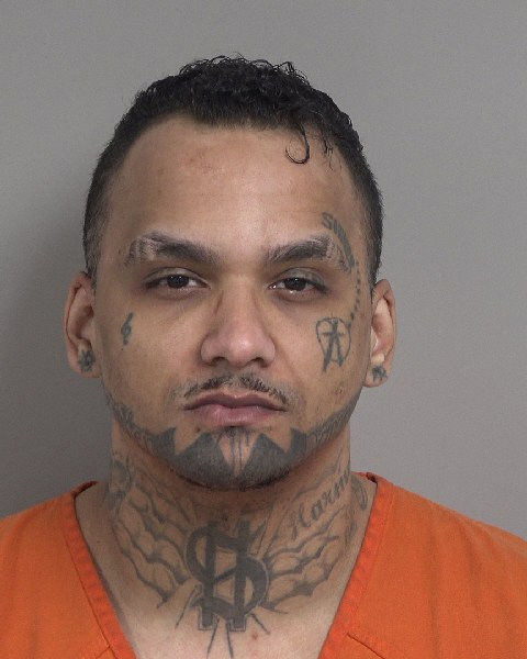 Booking photo of Devan Brown