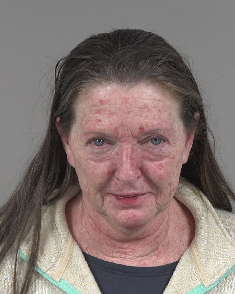 Booking photo of Deborah Mcarn