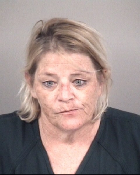 Booking photo of Cheryl Burr