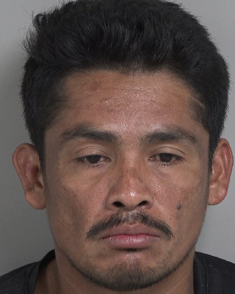 Booking photo of Delis Martinez Marin