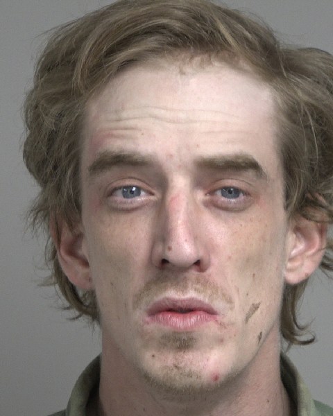 Booking photo of Hunter Papin
