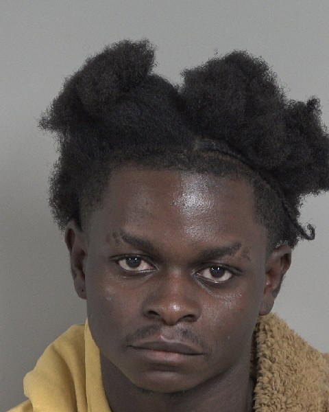 Booking photo of William Bwasi