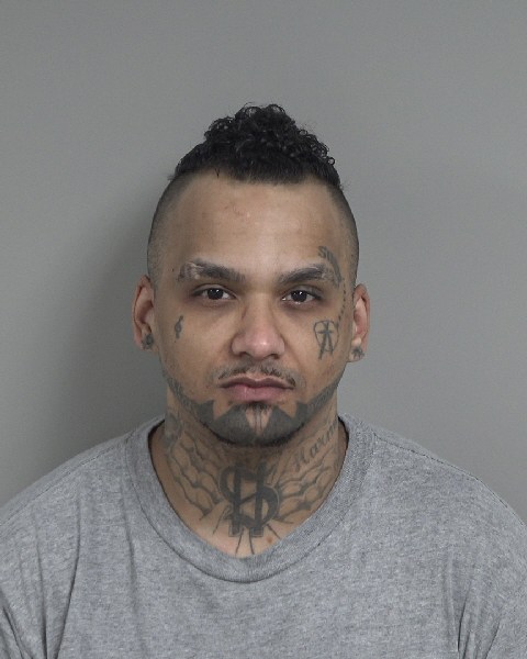 Booking photo of Devan Brown