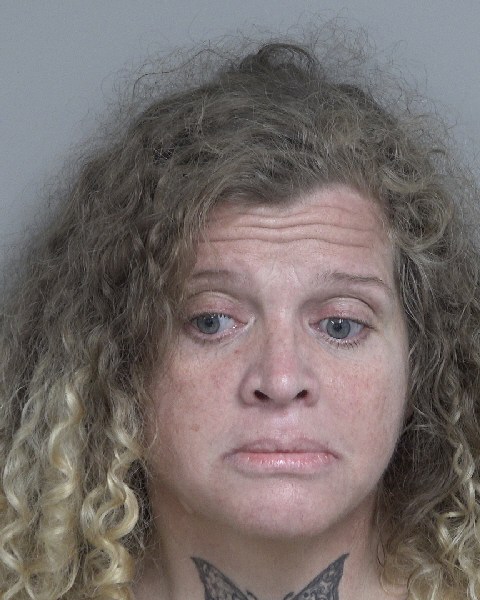 Booking photo of Sara Fields