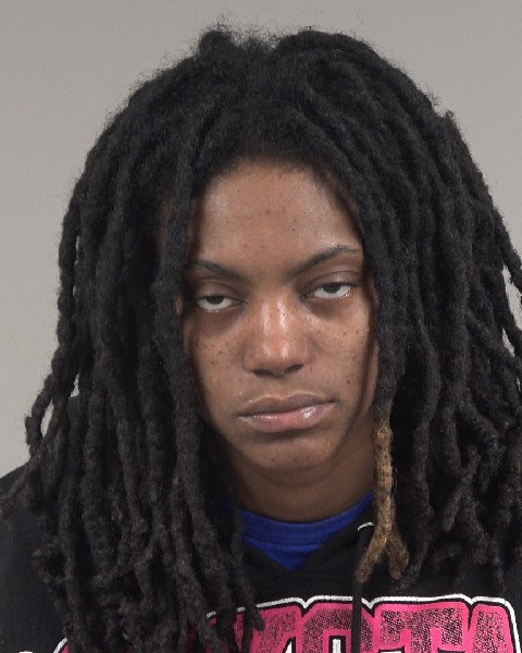 Booking photo of Destinee Little