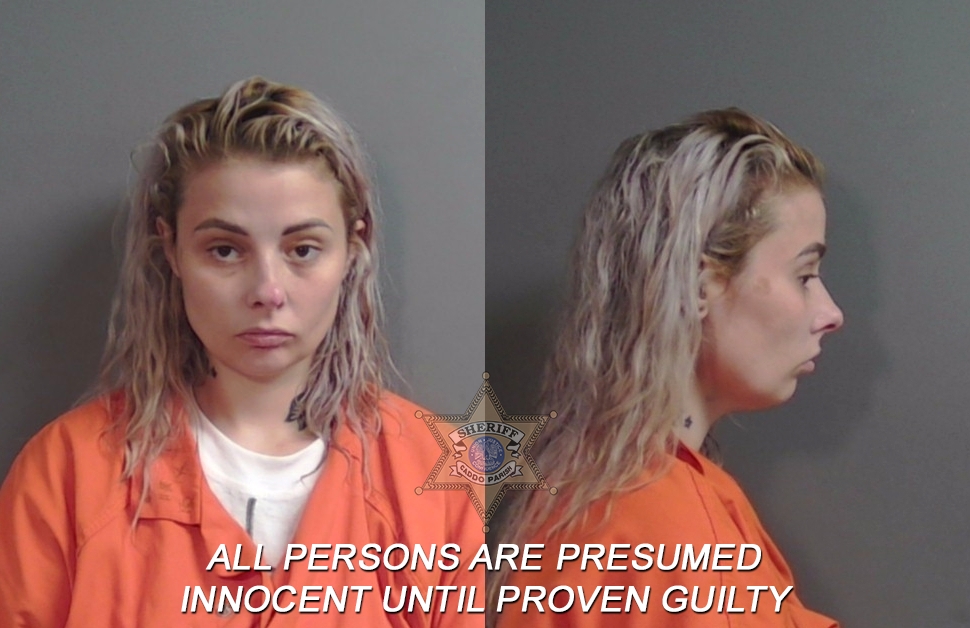 Booking photo of Sarah Gail Perritt