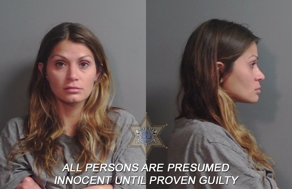 Booking photo of Lauren Michelle Moses