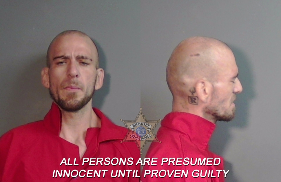 Booking photo of Colby Lane Towery