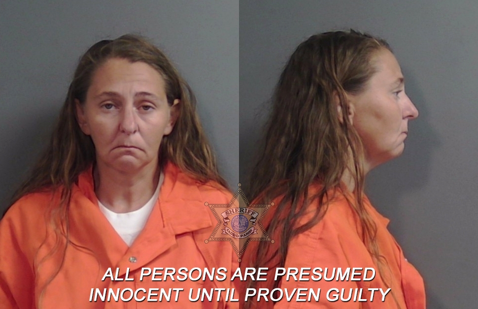 Booking photo of Davi Renee Burford