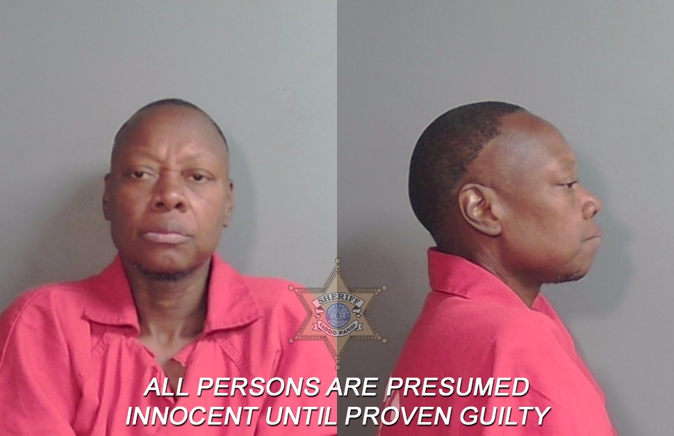 Booking photo of Erica Lavette Shine