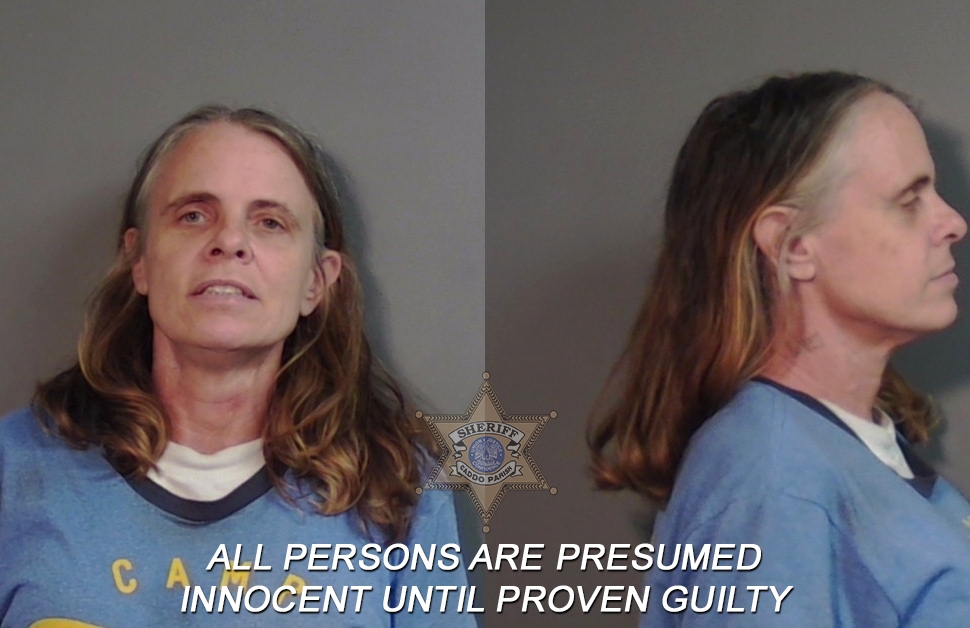 Booking photo of Melissa Catherine Degroff-davis