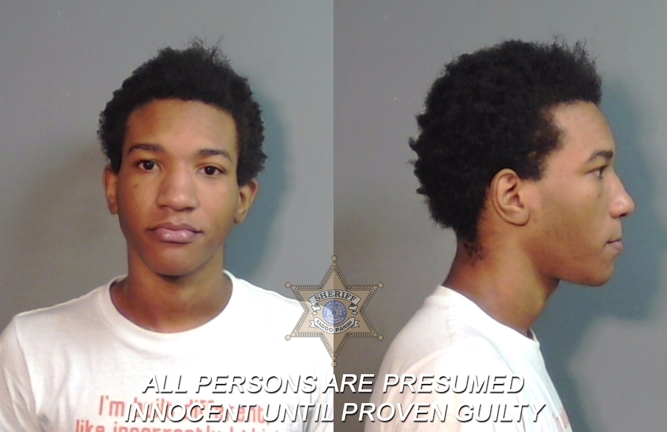 Booking photo of Ledeerion Tremaine Dillard
