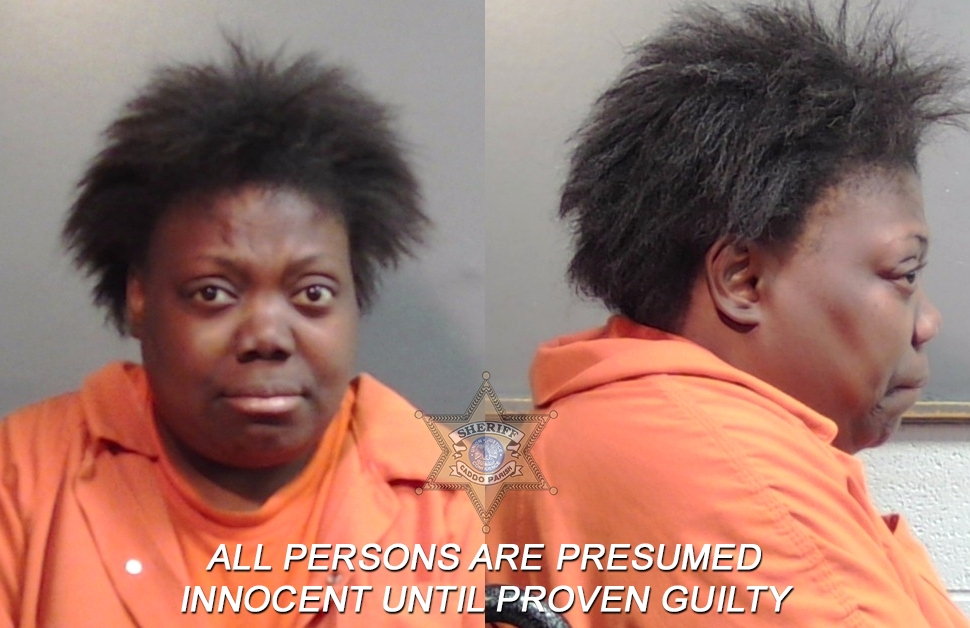 Booking photo of Gloriaer Jean Ann Anderson