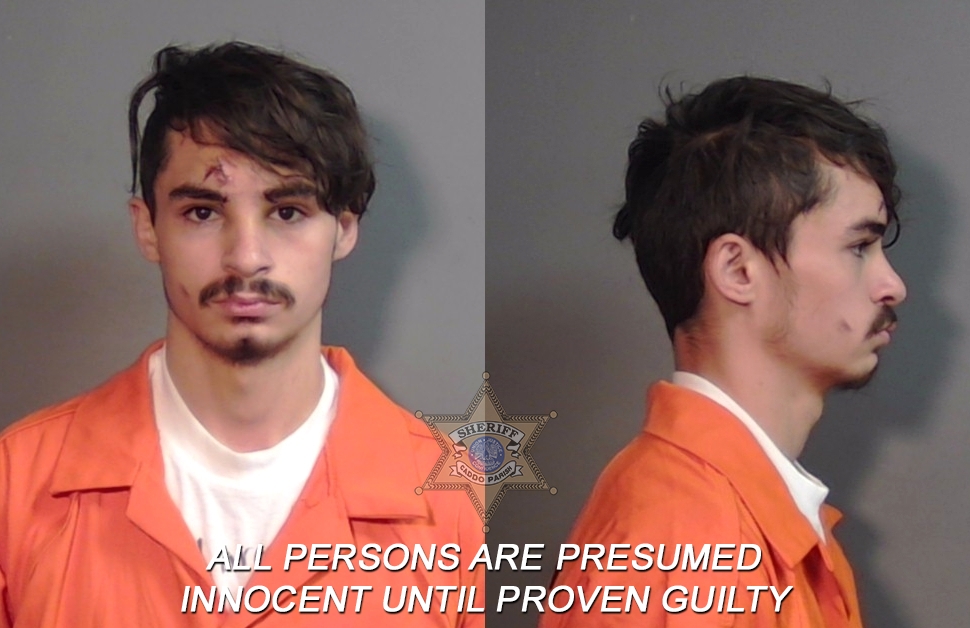 Booking photo of Tyler Glen Mcleod