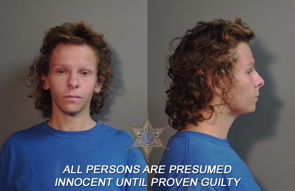 Booking photo of Ashley Opal Donaldson