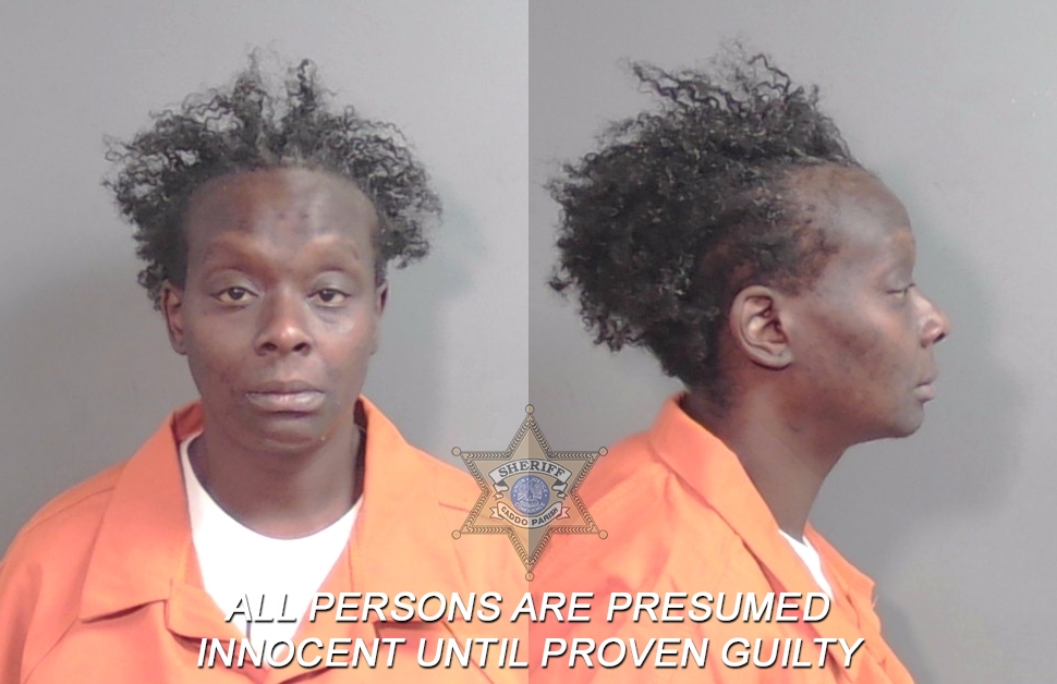 Booking photo of Gabrielle Shauntae Mitchell