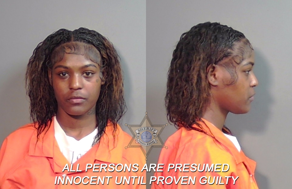 Booking photo of A'shunte Janece Hudson