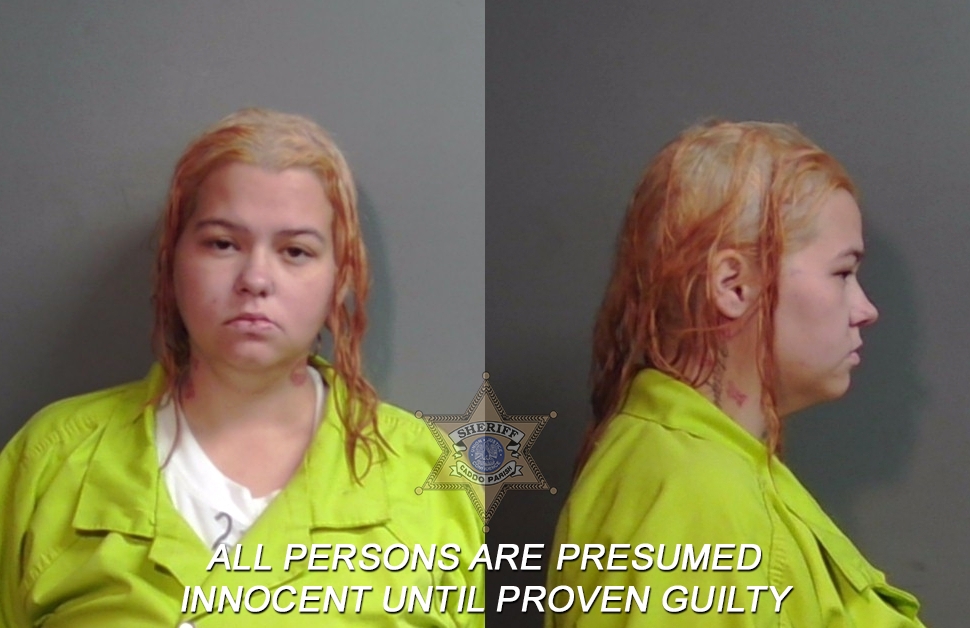 Booking photo of Megan Brianne White