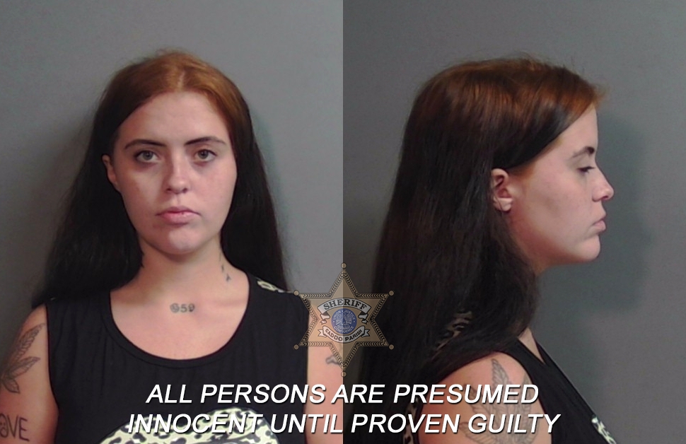 Booking photo of Breanna Makayla Day