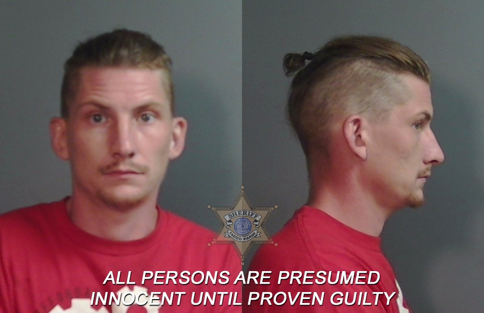 Booking photo of Brandon Lee Danver