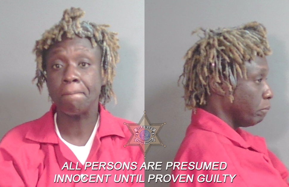 Booking photo of Andrea Denese Williams
