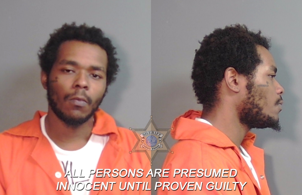 Booking photo of Qytren'uon Zymarea Wilson