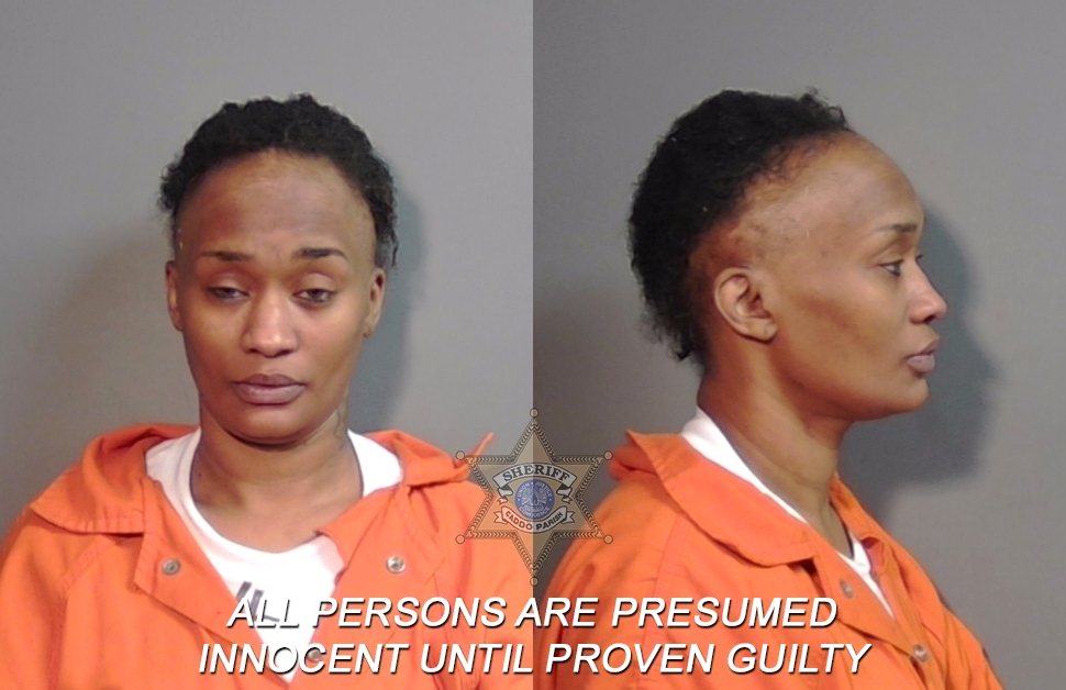 Booking photo of Danielle Nicole Holden