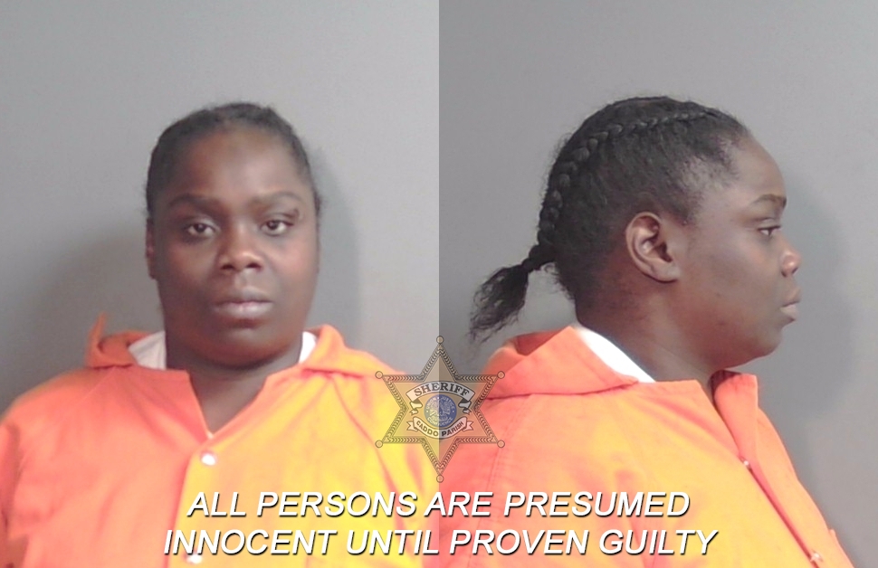 Booking photo of Brittany Shawna June