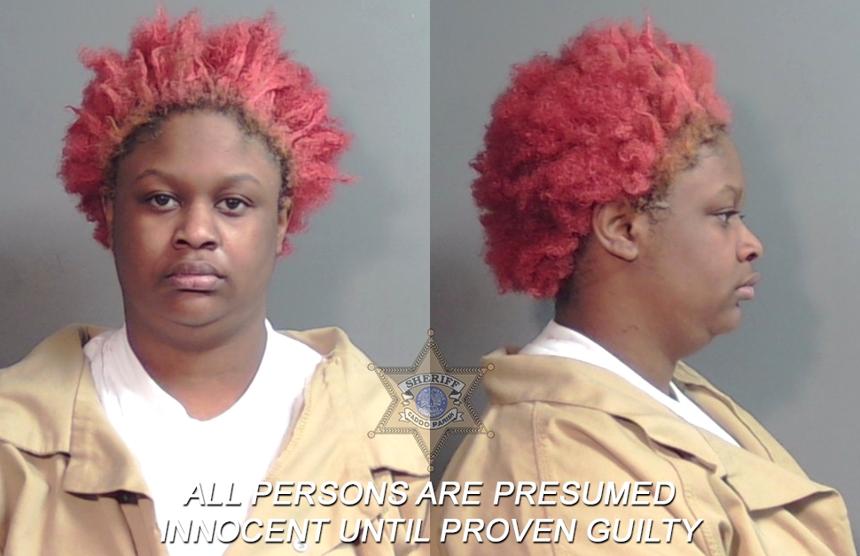 Booking photo of Rihanna Ronette Chambers