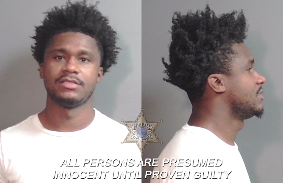 Booking photo of Merrian Lee