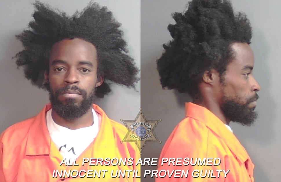 Booking photo of Terray Lorenzo Wilhite
