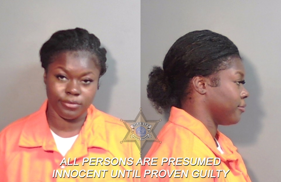Booking photo of Brooklyn Alece Anderson