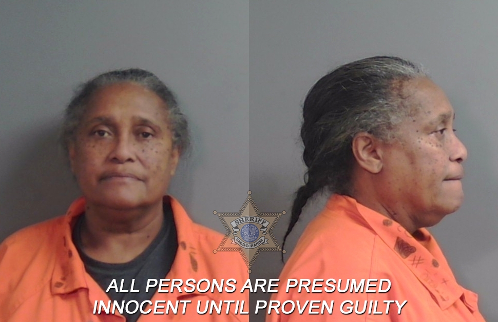 Booking photo of Bridgette Renee Ellis