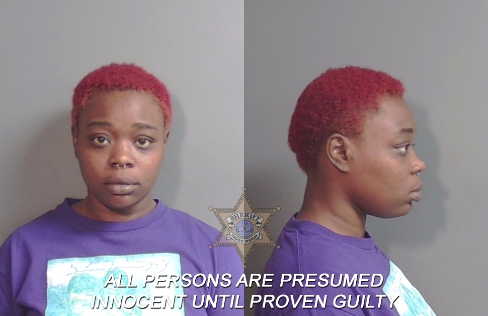 Booking photo of Terrinecia Denise Woodard