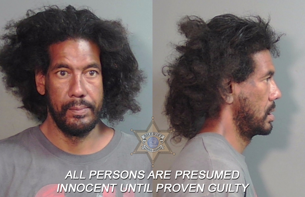 Booking photo of David Lener Bozeman
