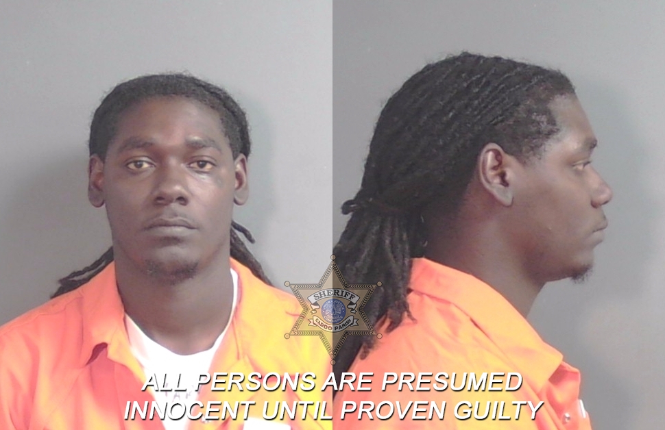 Booking photo of Demarcitana Sanzetta Mcneil