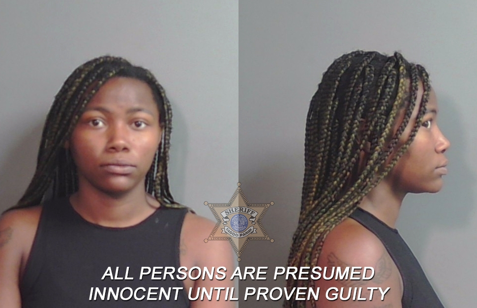 Booking photo of Tierra Sharday Lewis