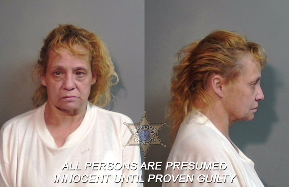 Booking photo of Paula Sue Mikos