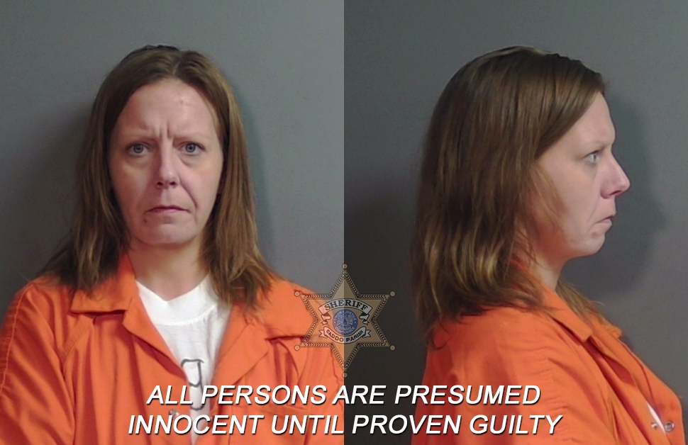 Booking photo of Amanda Catherine Davidson