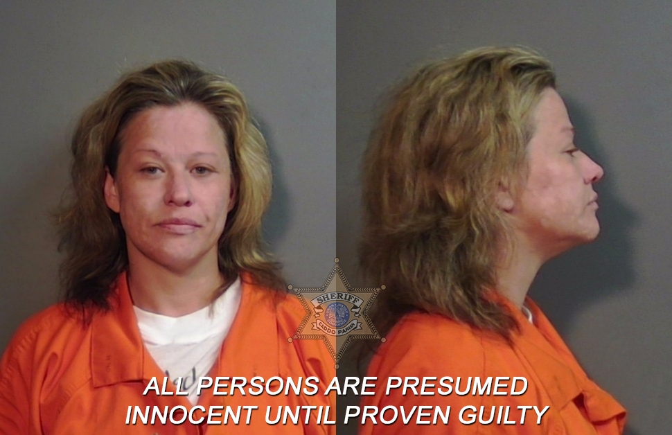 Booking photo of Brittany Marie Womack
