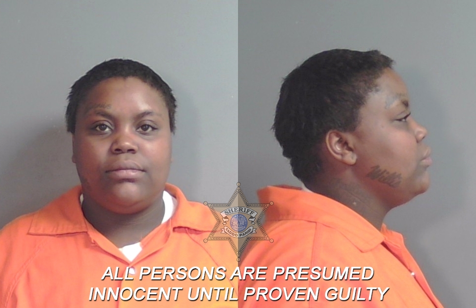 Booking photo of Mariah Danielle Lavette Venious