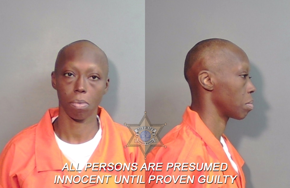Booking photo of Crystal Shanita James