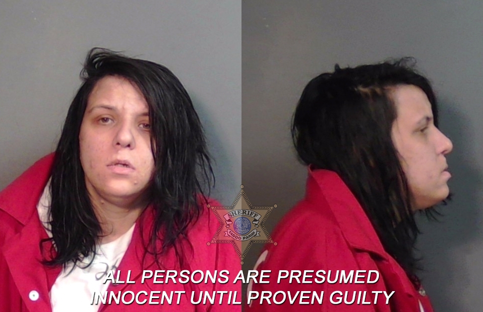 Booking photo of Makayla Christina Davis