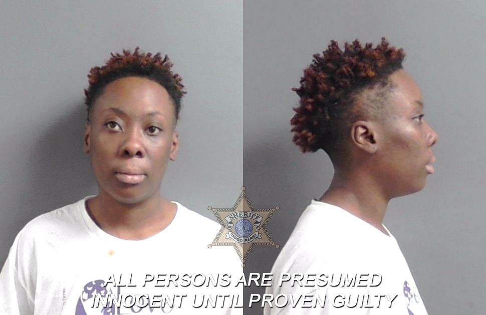 Booking photo of Brittany Nicole Falcon
